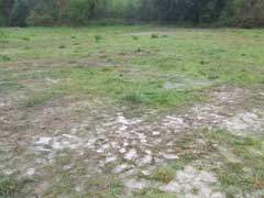Après 4 jours de pluie, le terrain est un peu... mouillé
