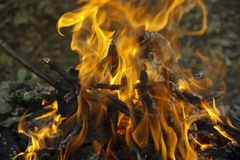 Le feu brille...